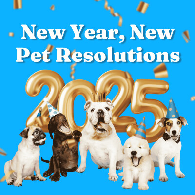 New Year, New Pet Resolutions cover