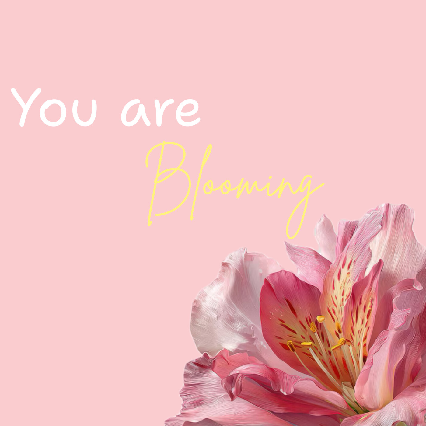 Guess who’s back !!!!!! episode artwork