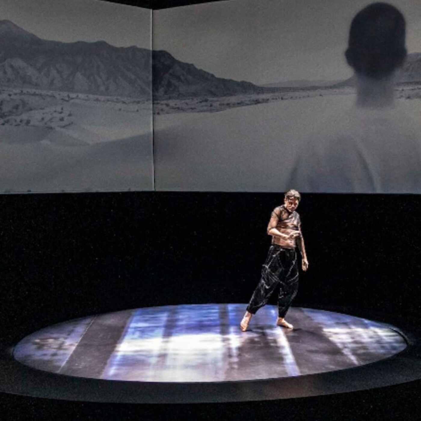 ÉVANGILE DE LA NATURE / THEATRE / FESTIVAL D'AVIGNON 2026 / STANISLAS NORDEY episode artwork