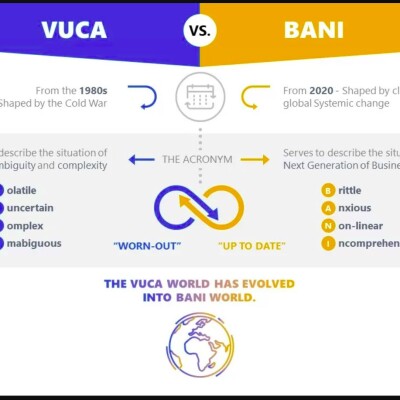 D'un monde VICA à un monde FANI cover