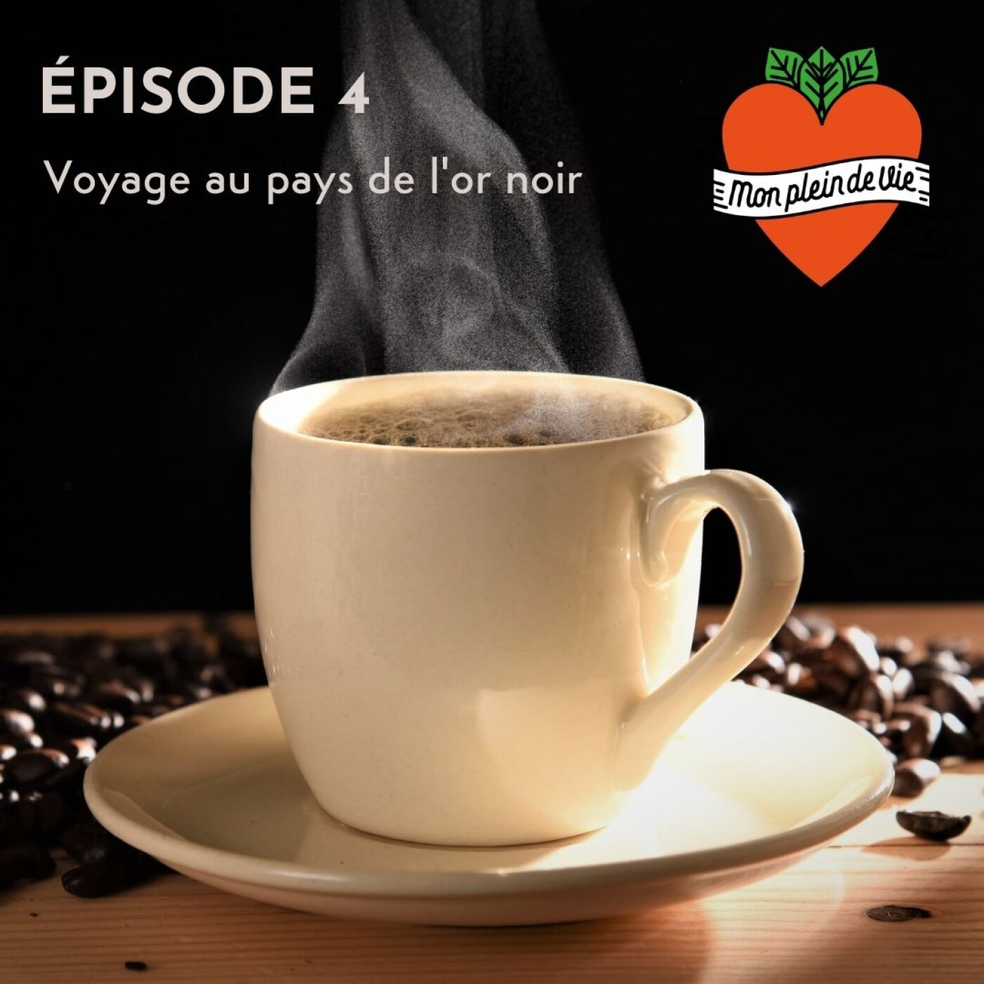 LE CAFÉ, VOYAGE AU PAYS DE L'OR NOIR