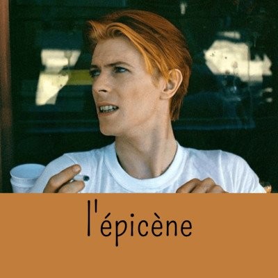 l'épicène cover