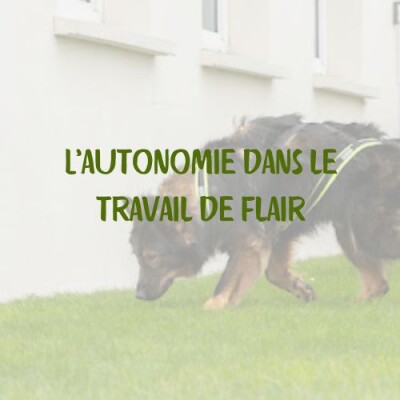 L'autonomie dans le travail de flair cover
