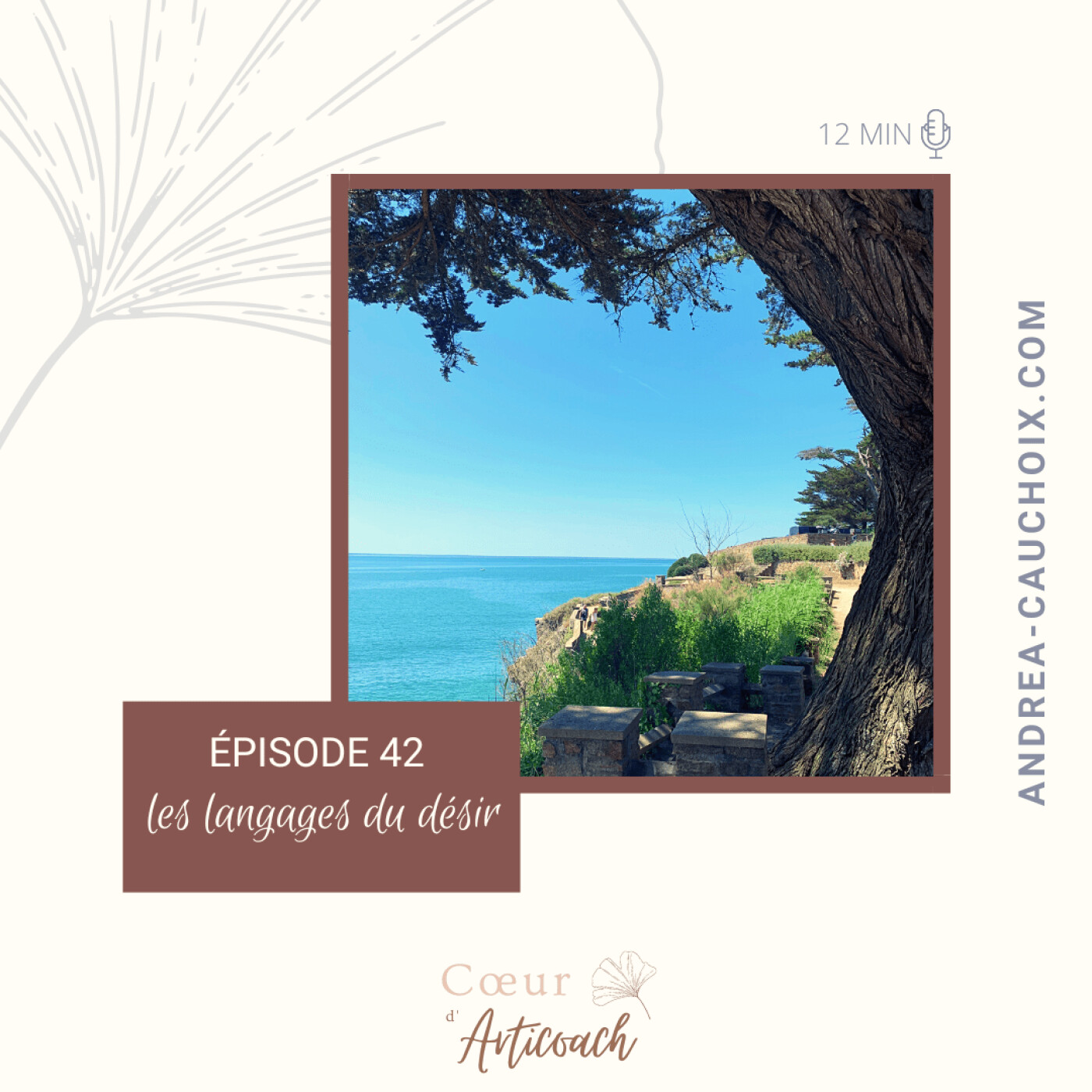 Cœur d\'articoach