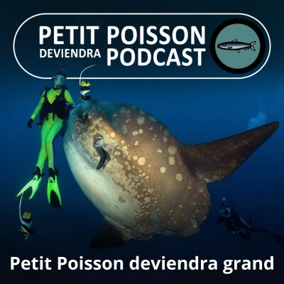 S03E34 Petit baigneur deviendra... immense (Bill François) cover