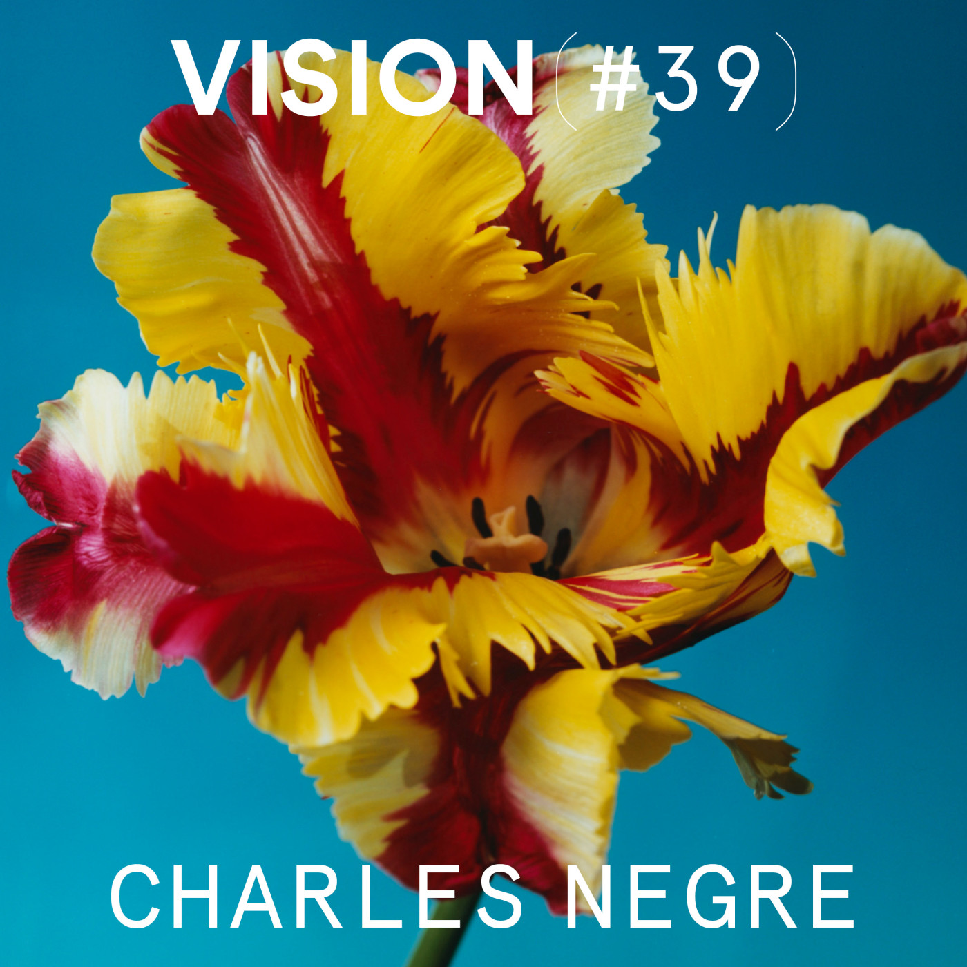 VISION #39 â CHARLES NEGRE