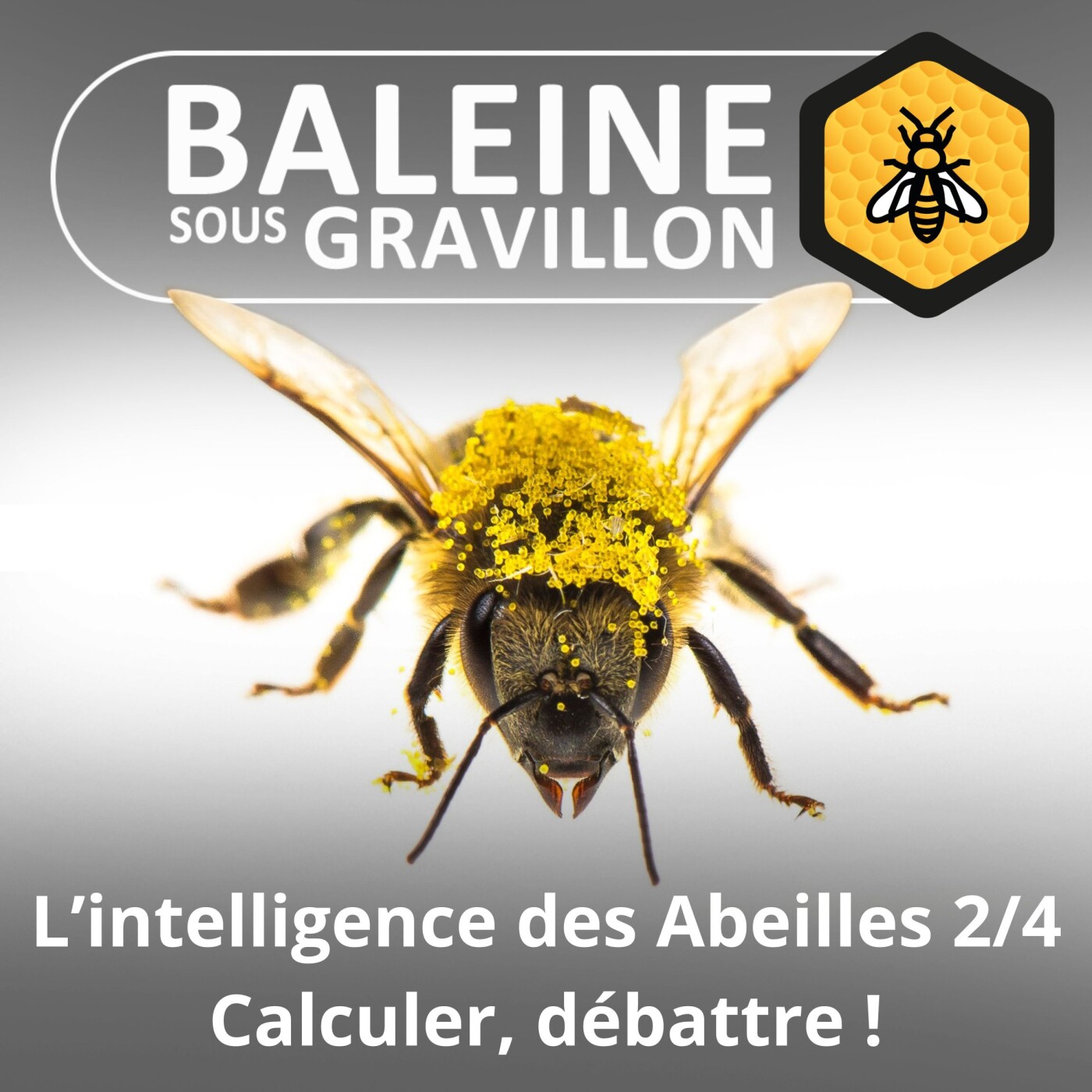 S02E114 L'intelligence des Abeilles 2/4 : Capables de calculer, de débattre ! episode artwork
