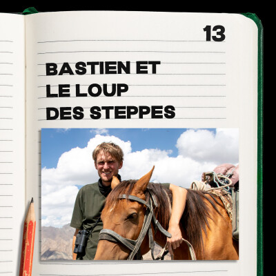#13. Bastien Chaix et le Loup des steppes cover