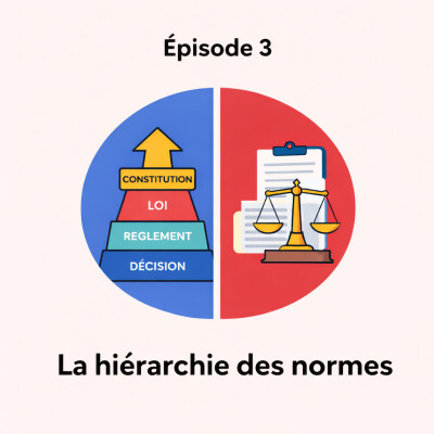 3. LA HIERARCHIE DES NORMES cover