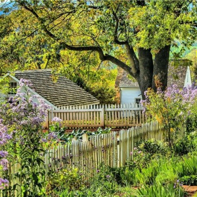 How to Have Peace through Times of Great Sorrow. cover