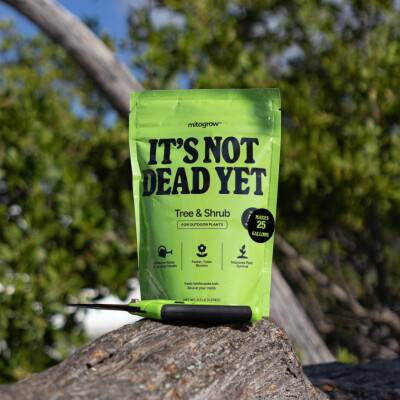 Episode 27: The Science of a Second Chance! cover