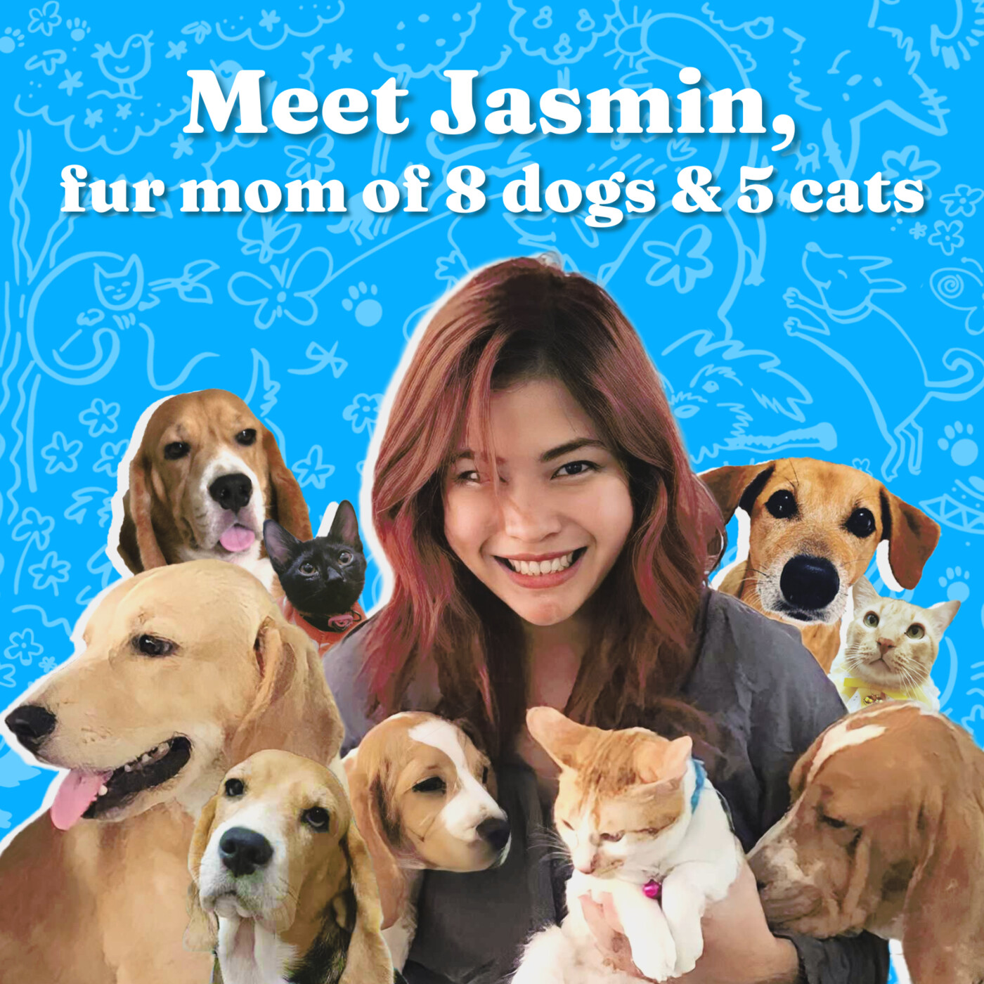 Meet Jasmin, fur mom of 8 dogs and 5 cats! episode artwork