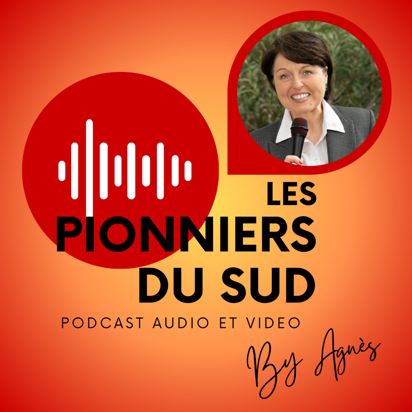 LES PIONNIERS DU SUD cover art