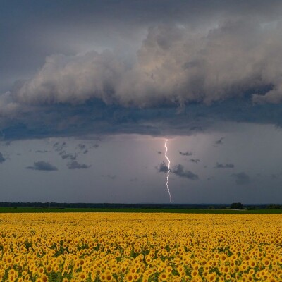 Pourquoi l’été rime avec orages ? cover