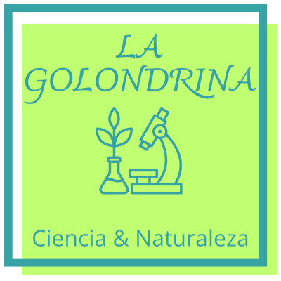 La Golondrina: La anunciadora de la primavera cover
