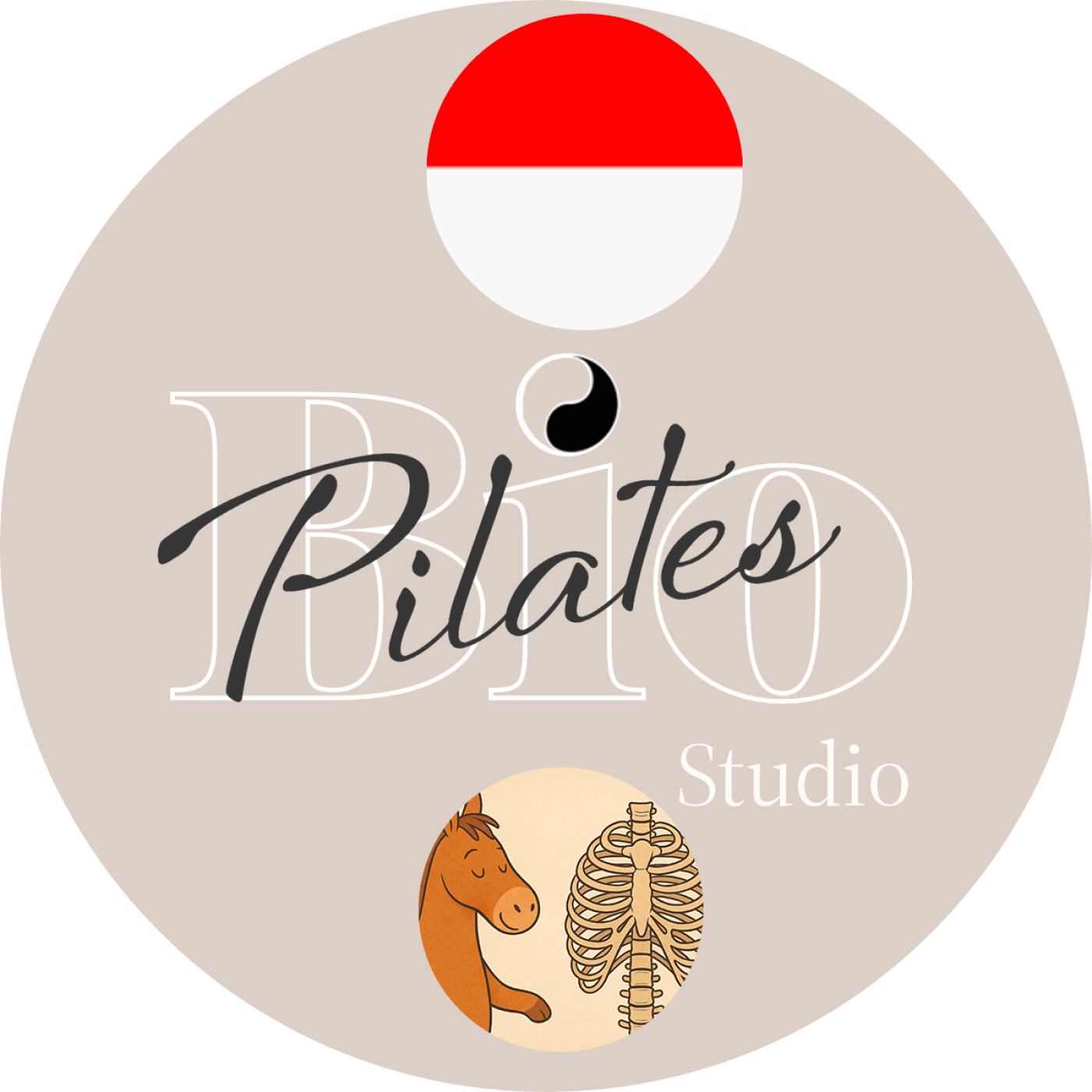 🇮🇩 🐴 Perbandingan Kinematika Toraks: Kuda dan Manusia - Stott Pilates Rib Cage Placement episode artwork