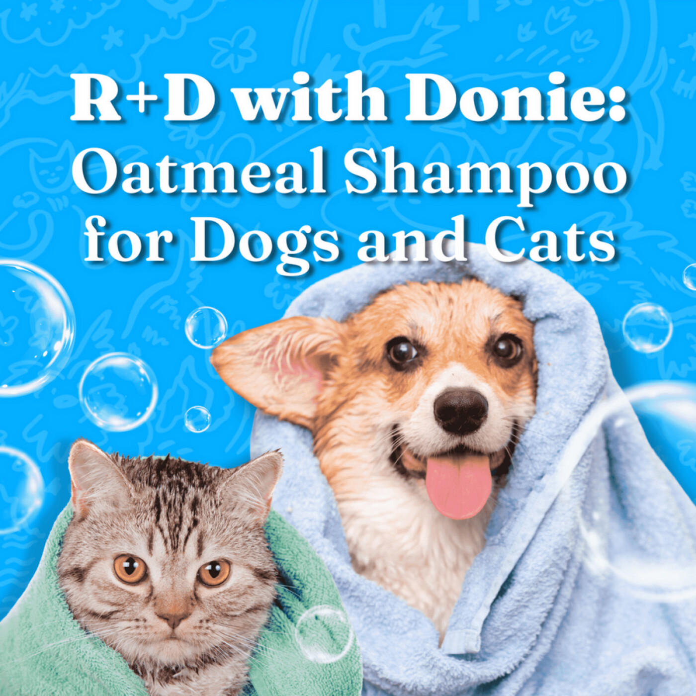 R+D with Donie: Oatmeal Shampoo for Dogs and Cats episode artwork