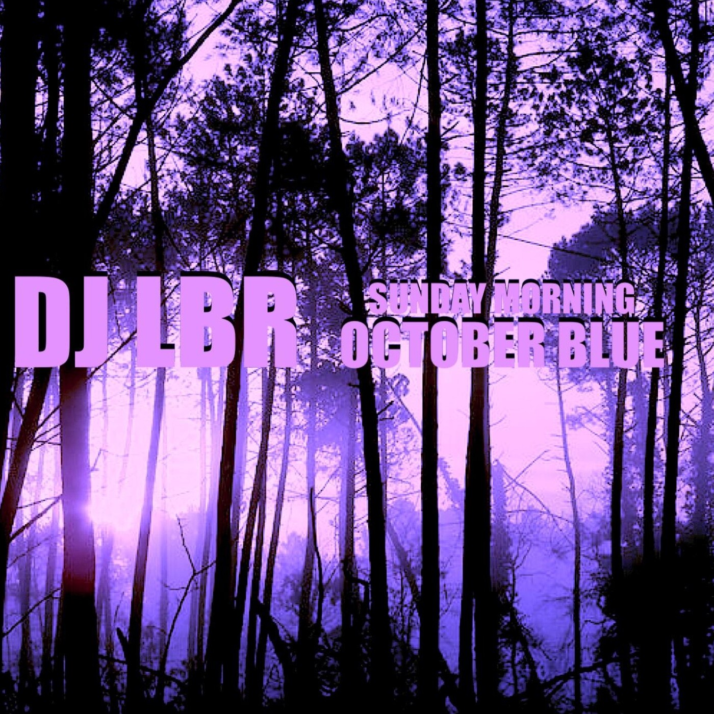 DJ LBR - THE OFFICIAL PODCAST