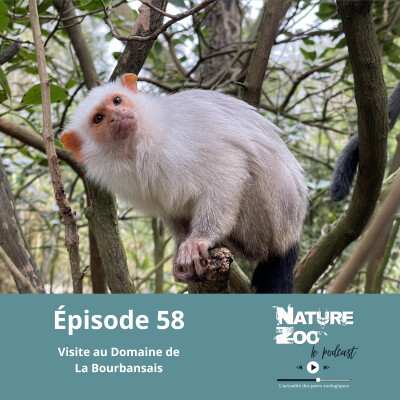 Épisode 58 (VISITE) - Le Domaine de La Bourbansais cover