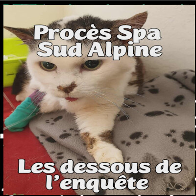 L'aVie du Peuple épi 12, Procès SPA Sud Alpine, les dessous de l'enquête part 2 Retour sur le procès du 25 septembre cover