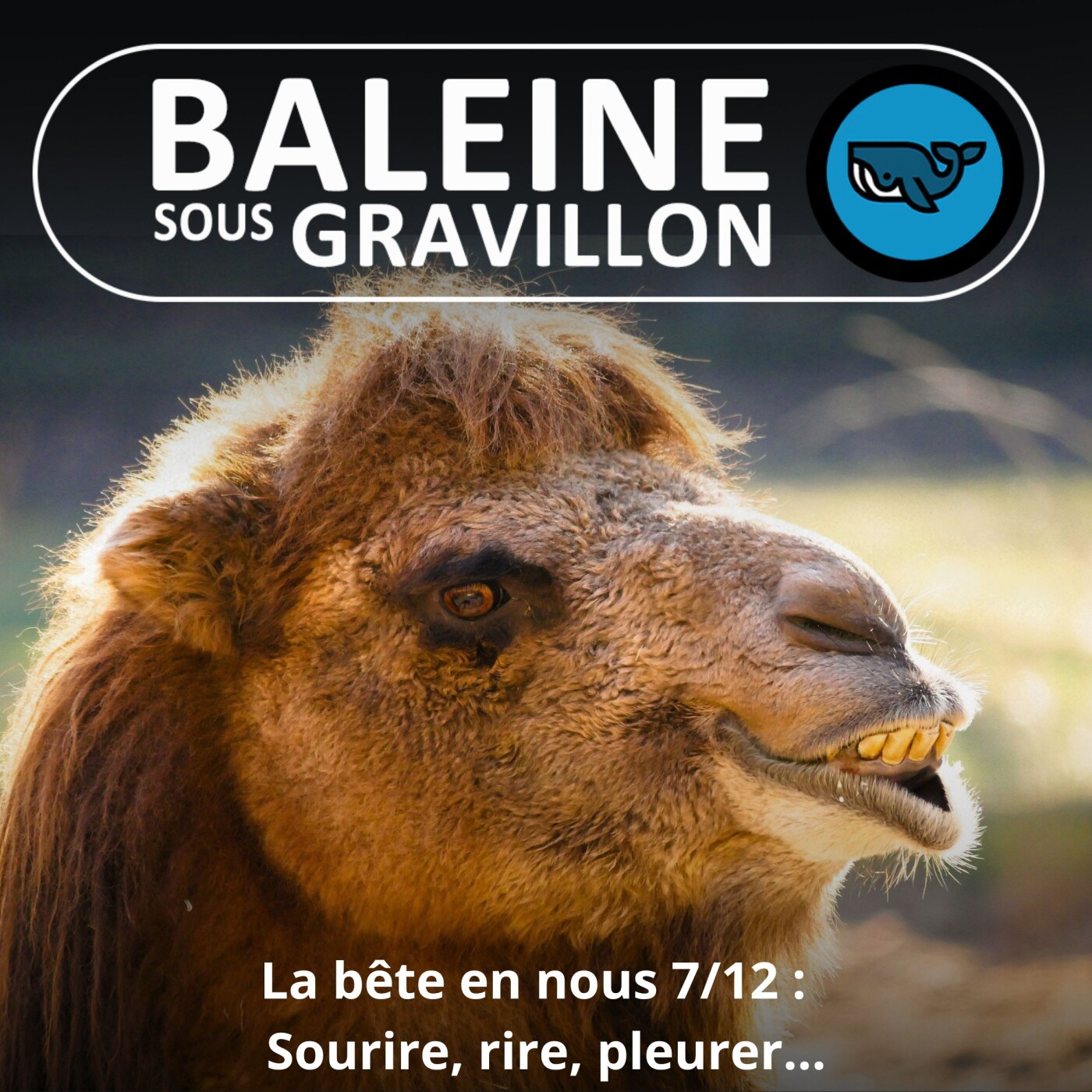 S03E74 La bête en nous 7/12 : Sourire, rire, pleurer... Jessica Serra (éthologue)