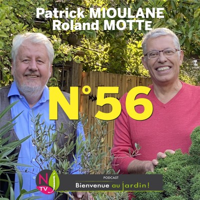 EMISSION #56 du 21 Mai 2022 - L'INTEGRALE cover