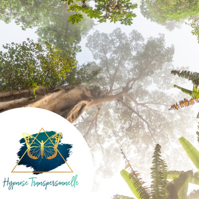 Hypnose Transpersonnelle®296 : Roi des arbres protégeant les humains, Peur de briller cover