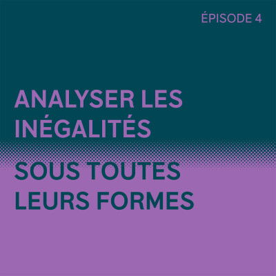Analyser les inégalités sous toutes leurs formes cover