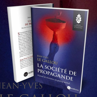 Les sociétés occidentales et le conditionnement des mentalités cover