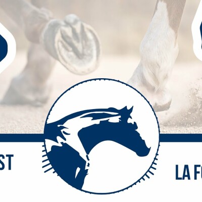 🎙 Podcast by Reverdy #16 | La fourbure cover