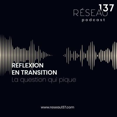 REFLEXION EN TRANSITION - Marie-Hélène Chavigny cover