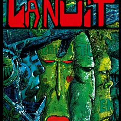 Dans la bibliothèque d'Eric Liberge cover