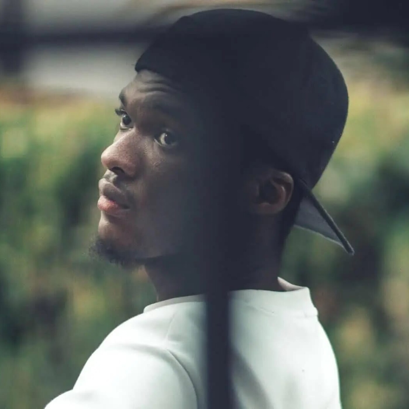 L'ORDRE DES PRÉDATEURS cover art