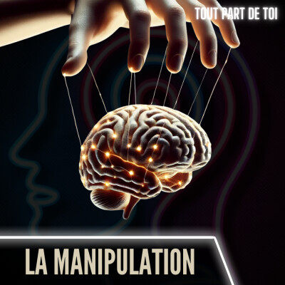 LA MANIPULATION : il ne peut y avoir de manipulation sans personnes manipulables cover