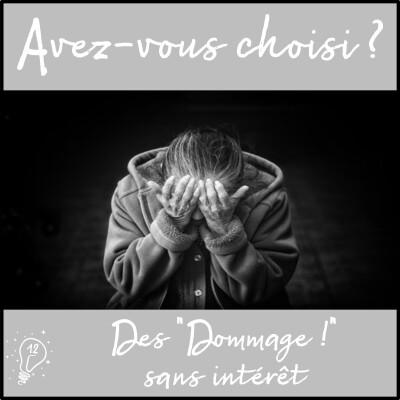 Avez-vous choisi ? - Episode 012 - Des "Dommage !" sans intérêt cover