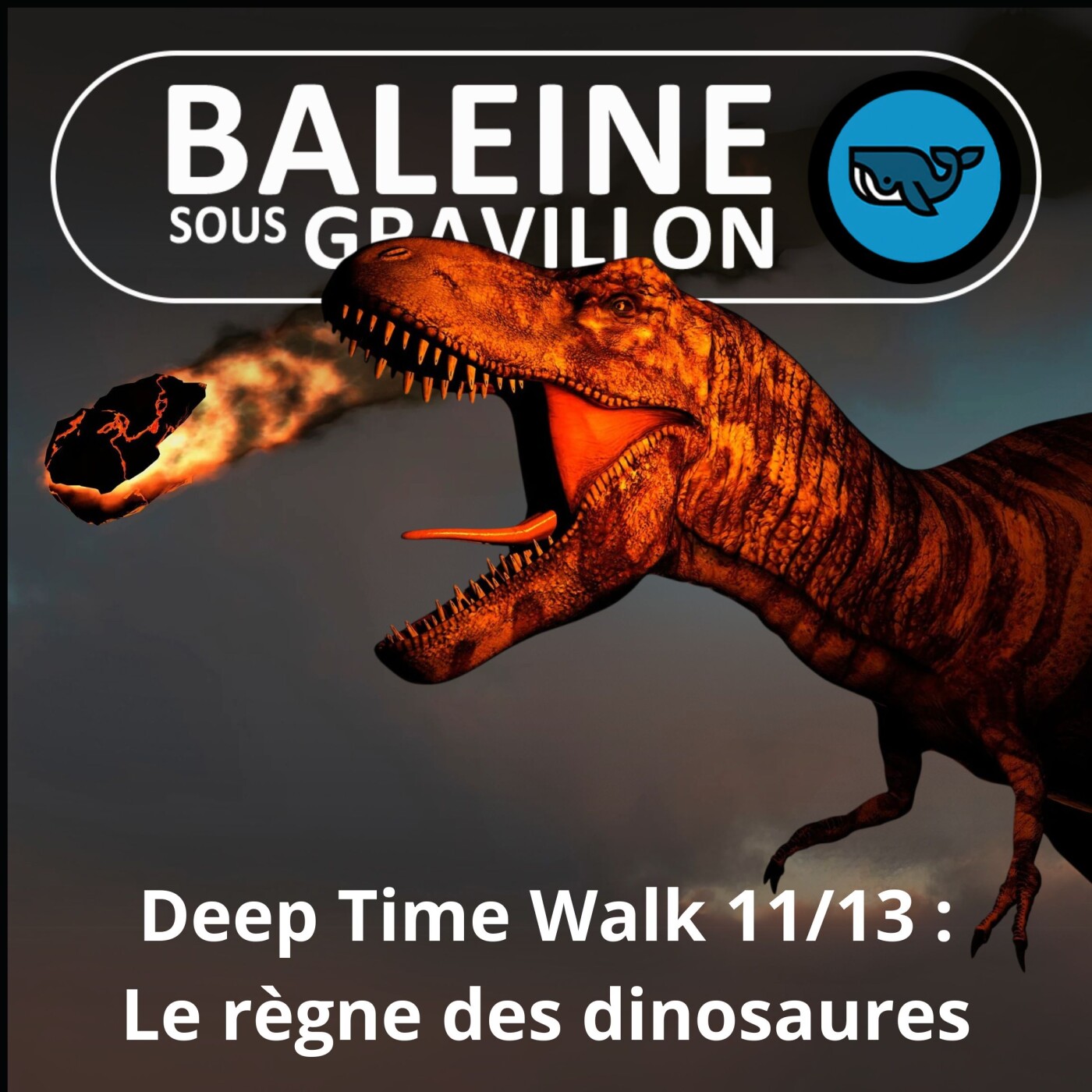Baleine sous Gravillon