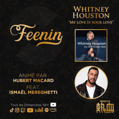 Whitney Houston - My love is your love, avec Ismaël Mereguetti cover