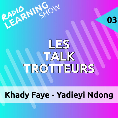 Intégration du numérique dans les écoles sénégalaises : Témoignages d'enseignants face aux obstacles de l'éducation. cover