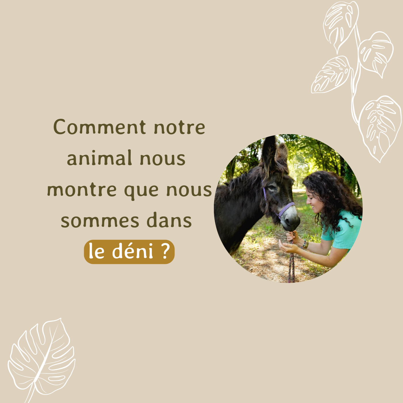 Comment notre animal nous montre que nous sommes dans le déni ?
