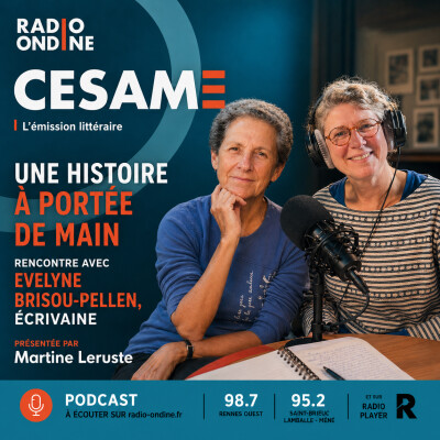 Évelyne Brisou-Pellen, l'histoire à portée de main cover