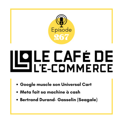 267 - Google muscle son Universal Cart, Meta fait sa machine à cash et Bertrand Durand- Gasselin (Seagale) cover