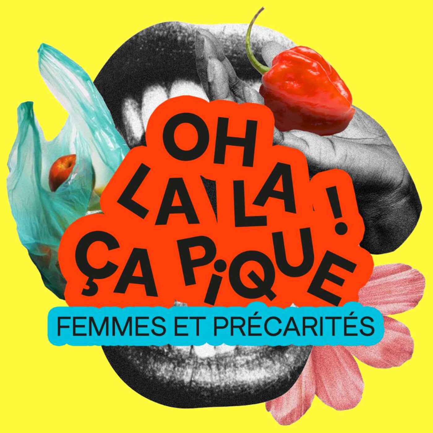 OHLALA, ÇA PIQUE ! Femmes et Précarités