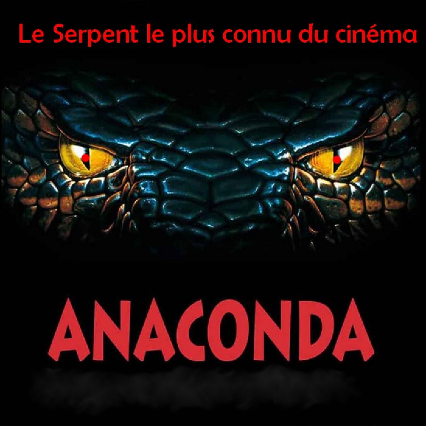 Le Quart d'heure Pelí : Anaconda, le Serpent de plus connu du cinéma