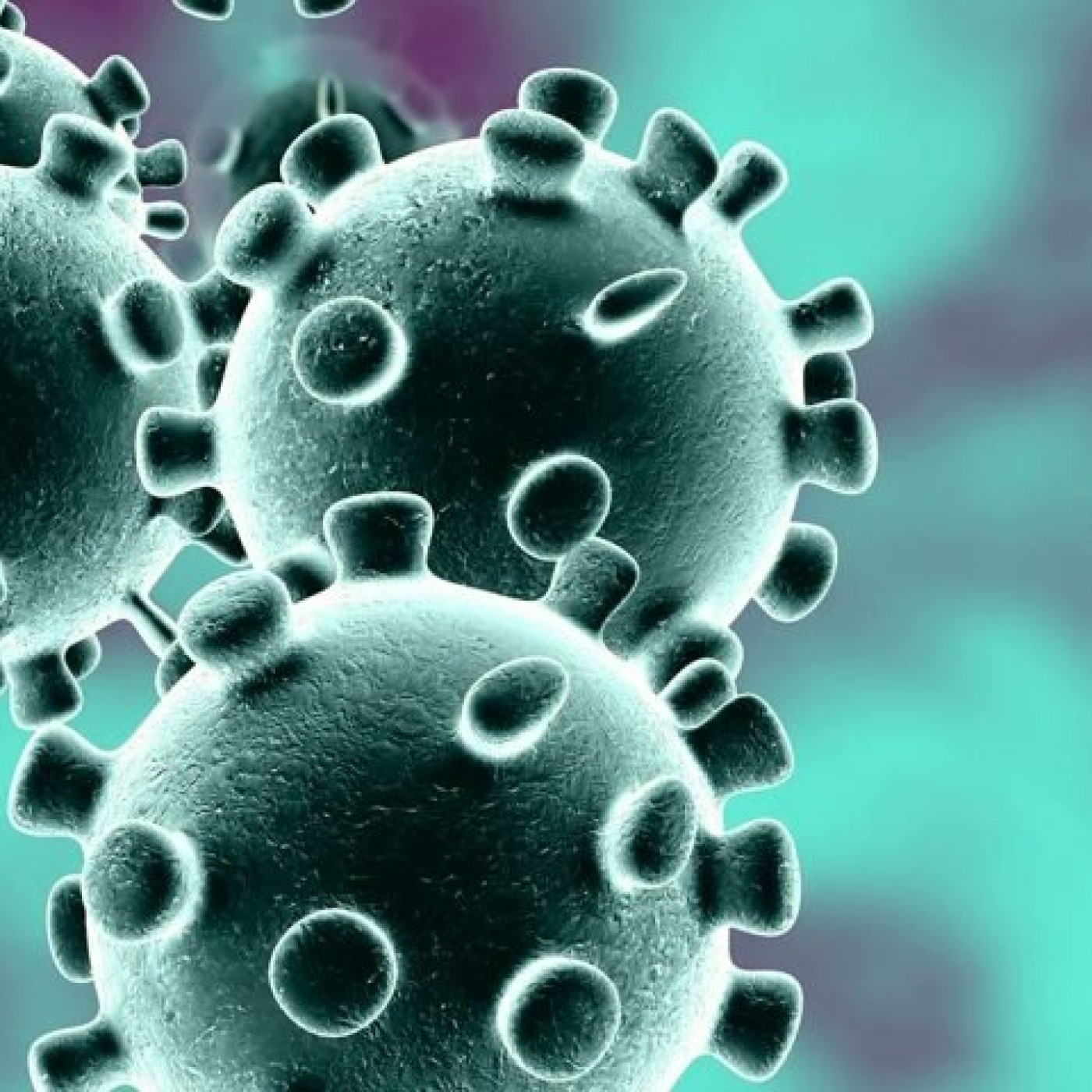 Le Business Club de France des Entrepreneurs