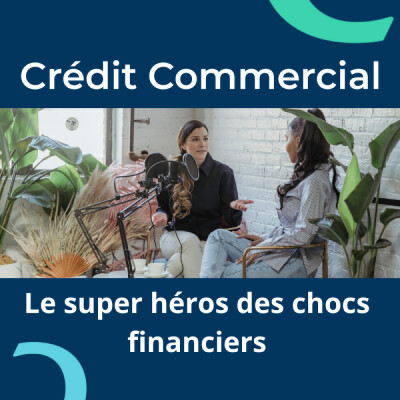 Le super pouvoir du Crédit Commercial lors des chocs financiers cover