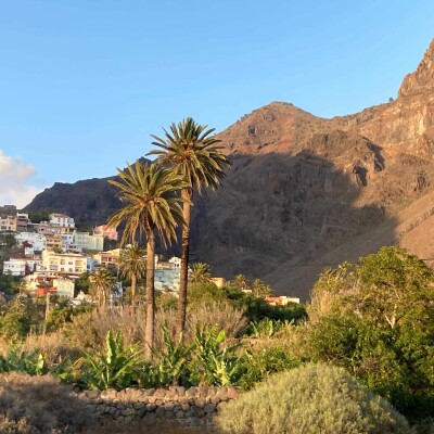 Podcast -Anne Habets - Islagomera cover