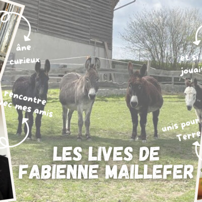 Live du 22 Septembre 2024 cover