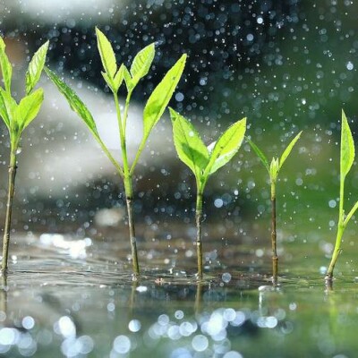 Comment se forme la pluie ? cover