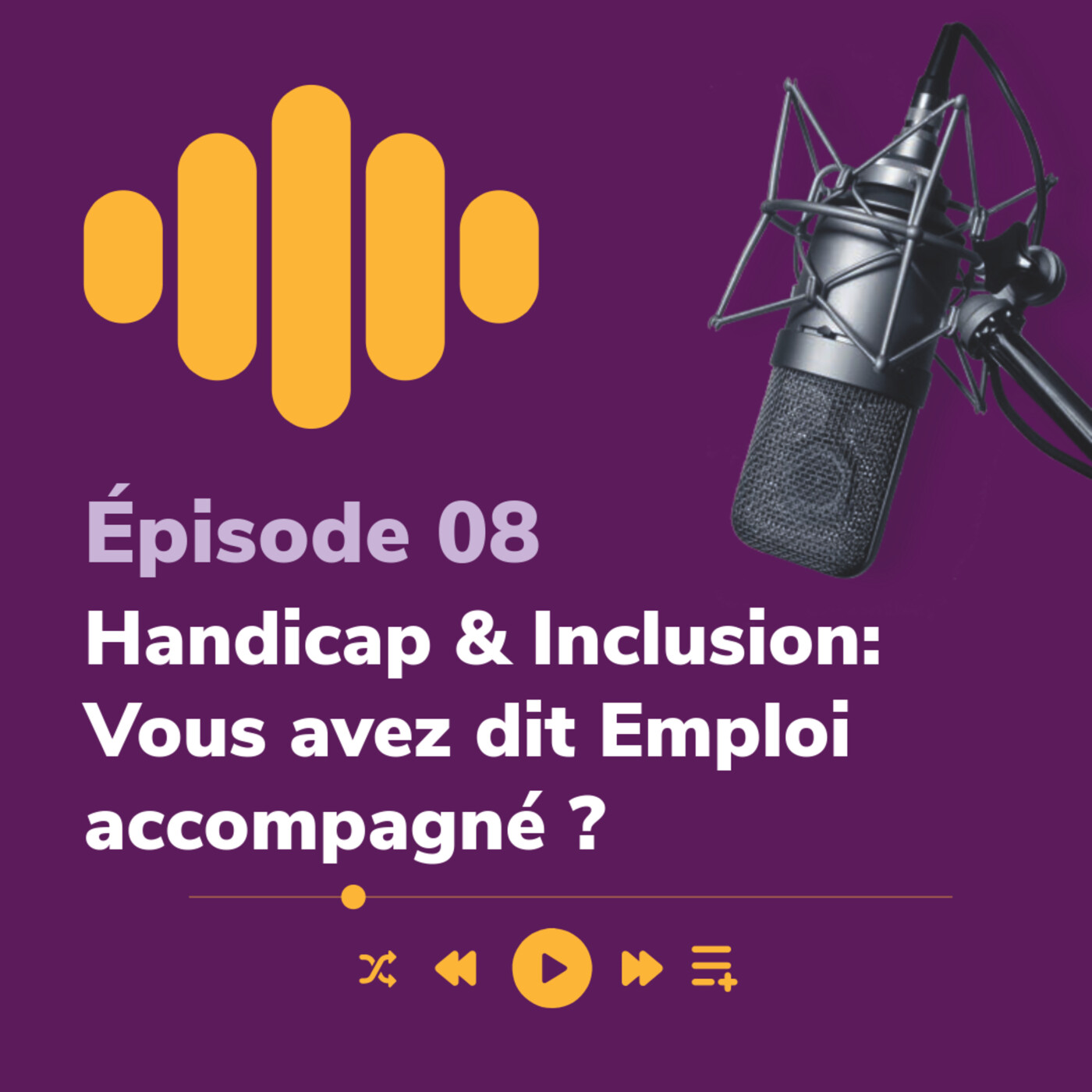 Handicap et inclusion : vous avez dit emploi accompagné ? — Lampe de Poche par Via Compétences cover