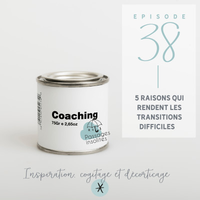 5 raisons qui rendent les transitions difficiles - S01 - Ep 38 cover